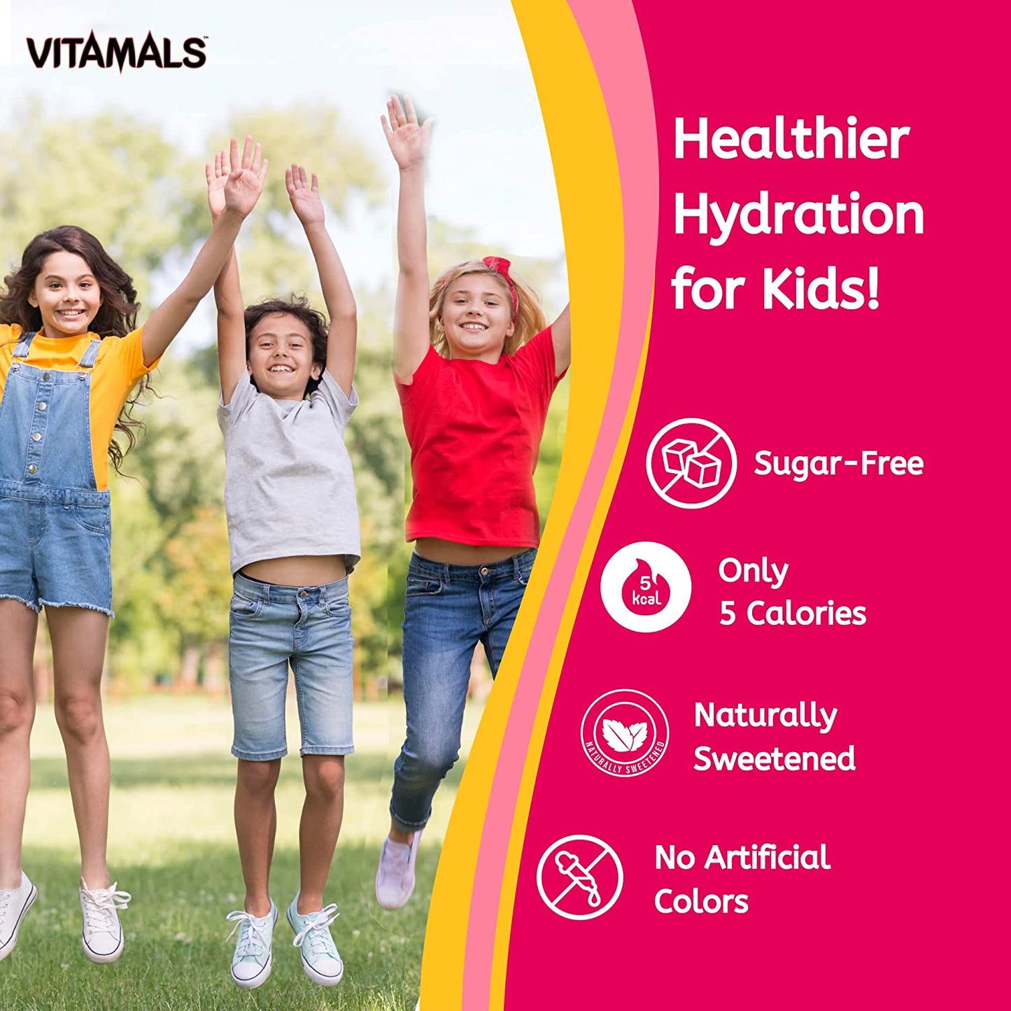 Vitamals Enhanced Flavored Water - Strawberry Lion Lemonade - 12 fl oz (Pack of 6)