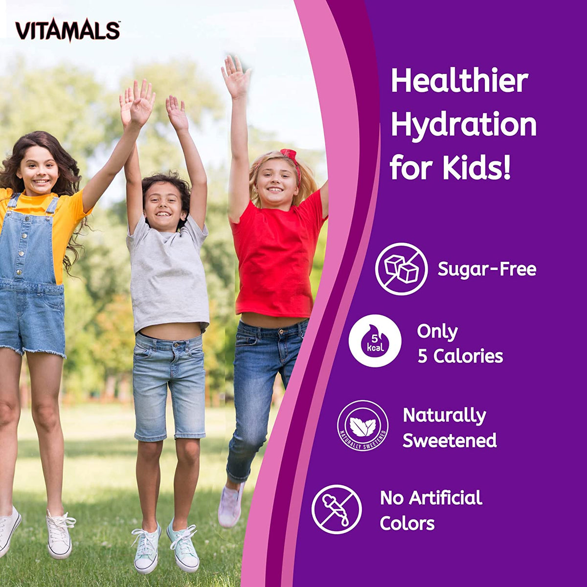 Vitamals Enhanced Flavored Water - Gorilla Grape - 12 fl oz (Pack of 6)
